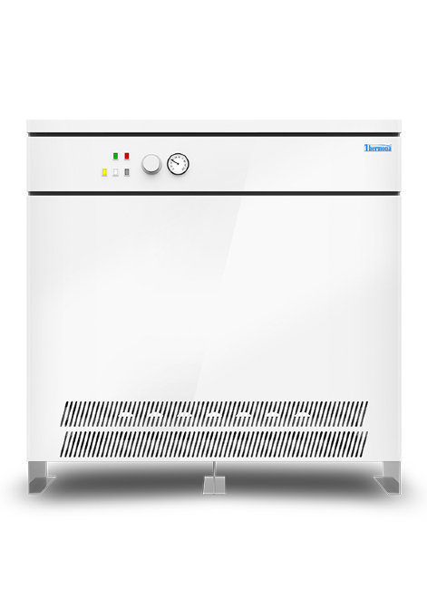 Газовый напольный котел THERMONA THERM 120 E в Санкт-Петербурге Газовый напольный котел THERMONA THERM 120 E в Санкт-Петербурге