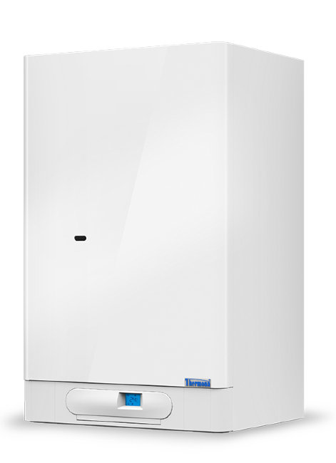Газовый настенный котел THERMONA THERM DUO 50 FT.A в Санкт-Петербурге Газовый настенный котел THERMONA THERM DUO 50 FT.A в Санкт-Петербурге
