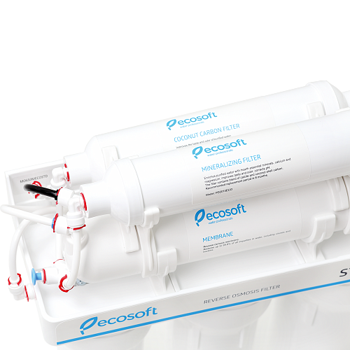 Система обратного осмоса Ecosoft MO650MECOST в Санкт-Петербурге Система обратного осмоса Ecosoft MO650MECOST в Санкт-Петербурге